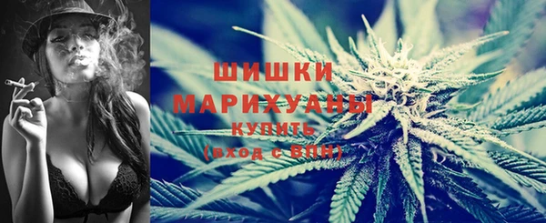 PSILOCYBIN Заволжье