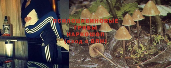 PSILOCYBIN Заволжье