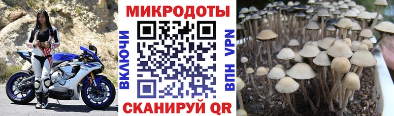 Галлюциногенные грибы MAGIC MUSHROOMS  Долгопрудный 