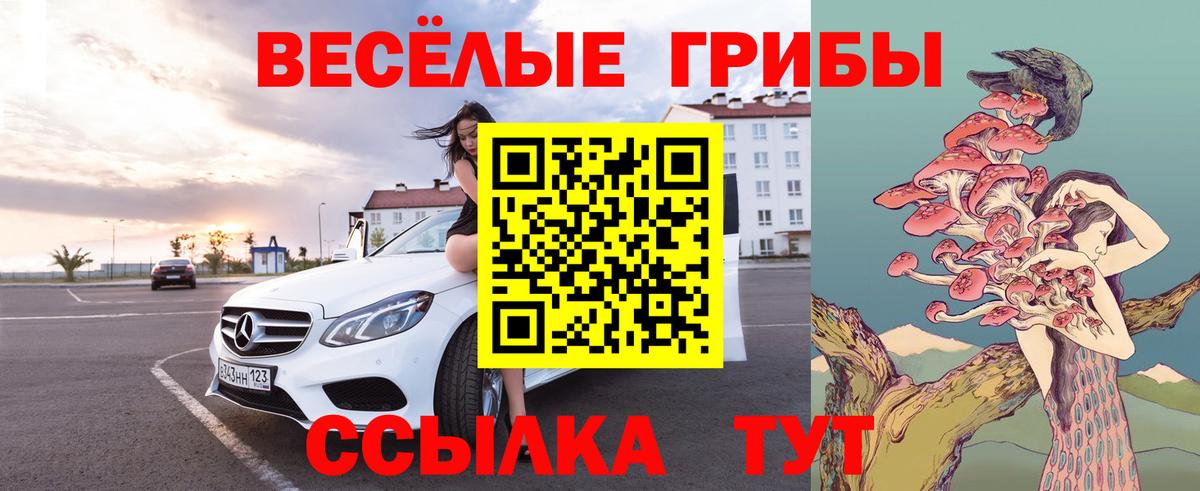 Псилоцибиновые грибы Magic Shrooms  Вход с VPN  Псилоцибиновые грибы MAGIC MUSHROOMS  Долгопрудный 